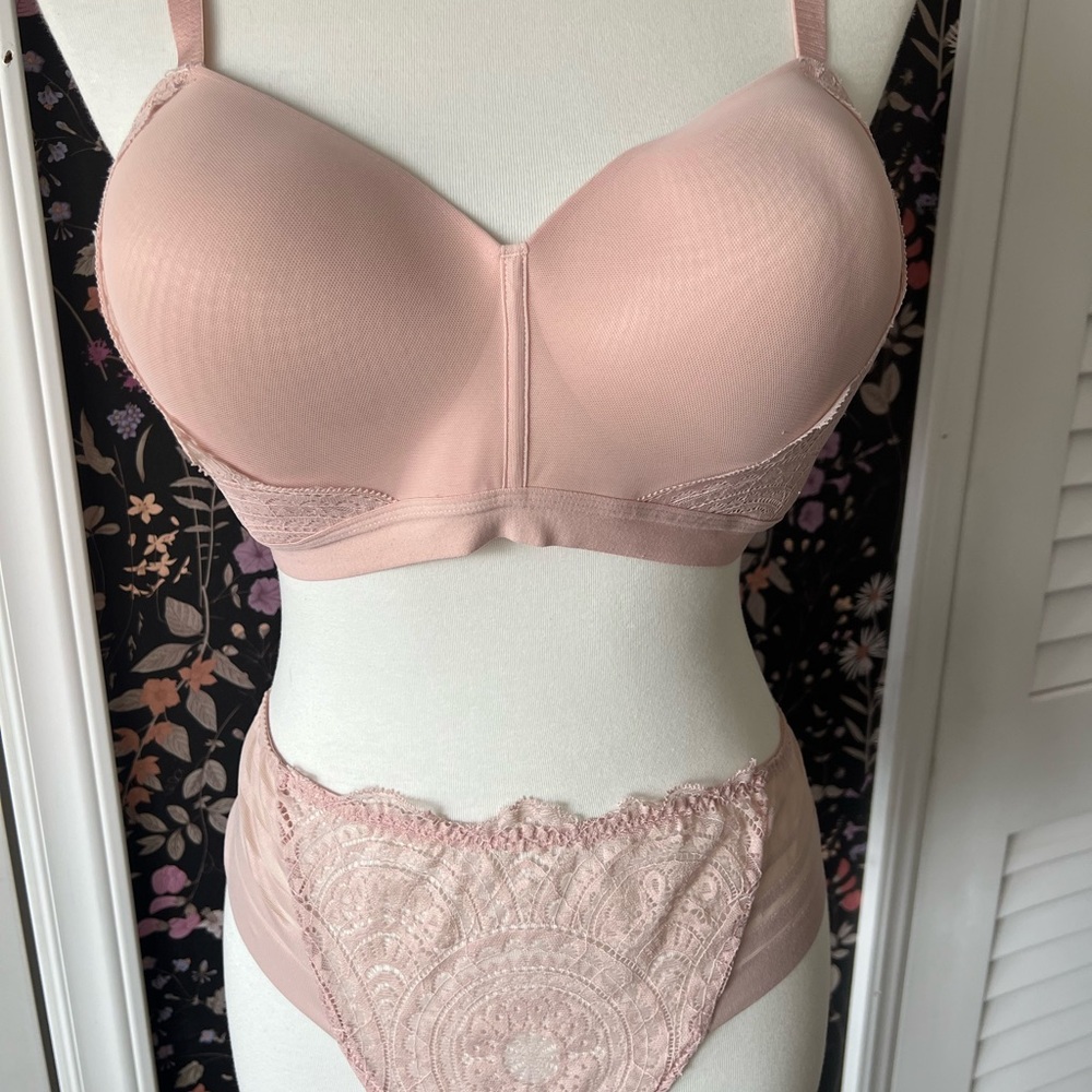 Adore Me Blush Lace Bra and Panty Set